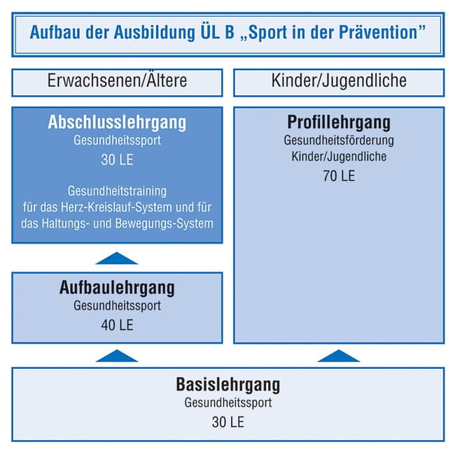 Aufbau der Ausbildung ÜL B „Sport in der Prävention“: Basislehrgang Gesundheitssport (30 LE) für beide Profile; Profil Erwachsene/Ältere mit Aufbaulehrgang (40 LE) und Abschlusslehrgang (30 LE); Profil Kinder/Jugendliche mit Profillehrgang Gesundheitsförderung (70 LE).