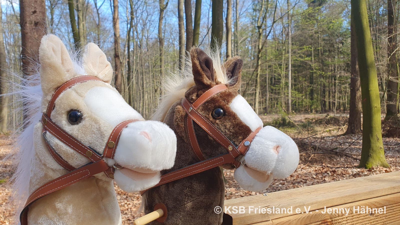 Einladung: Eventgeräte-Schulung „Hobby Horsing“